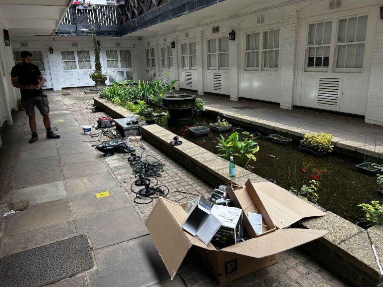 Luxury garden lighting upgrade at Chelsea residential property